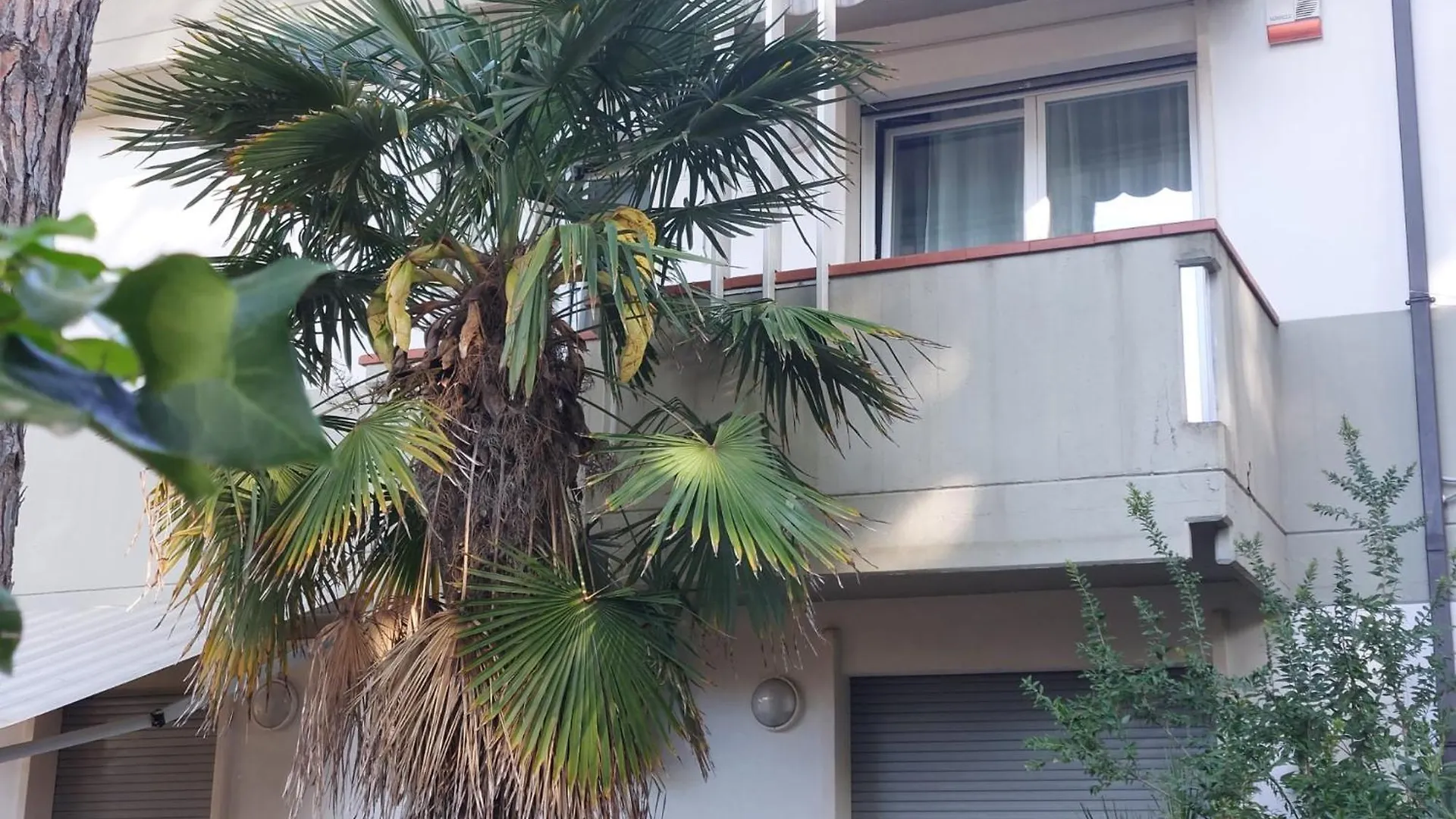 Mercadante Apartment Milano Marittima Italy